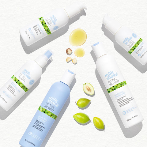 NEW No Frizz Allowed Offer