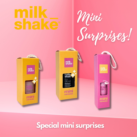 MINI SURPRISES