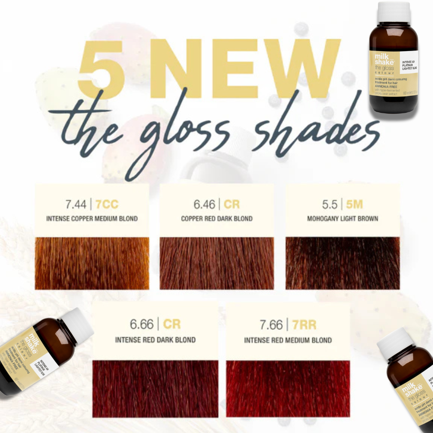 NEW The Gloss Shades Offer